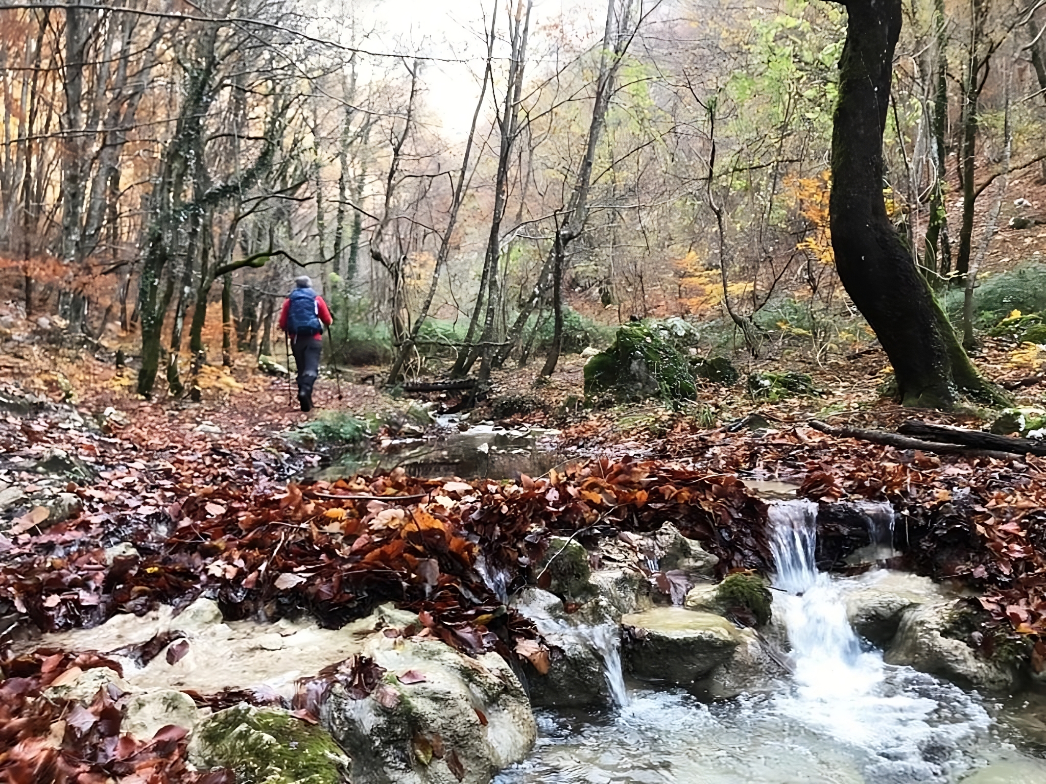 DA COLLEPARDO ALLA CERTOSA DI TRISULTI NELLA SELVA CONTESA