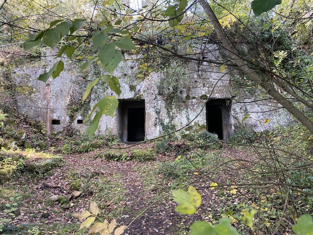 LA NECROPOLI DI SAN GIULIANO, SULLE TRACCE DEI NOSTRI PROGENITORI