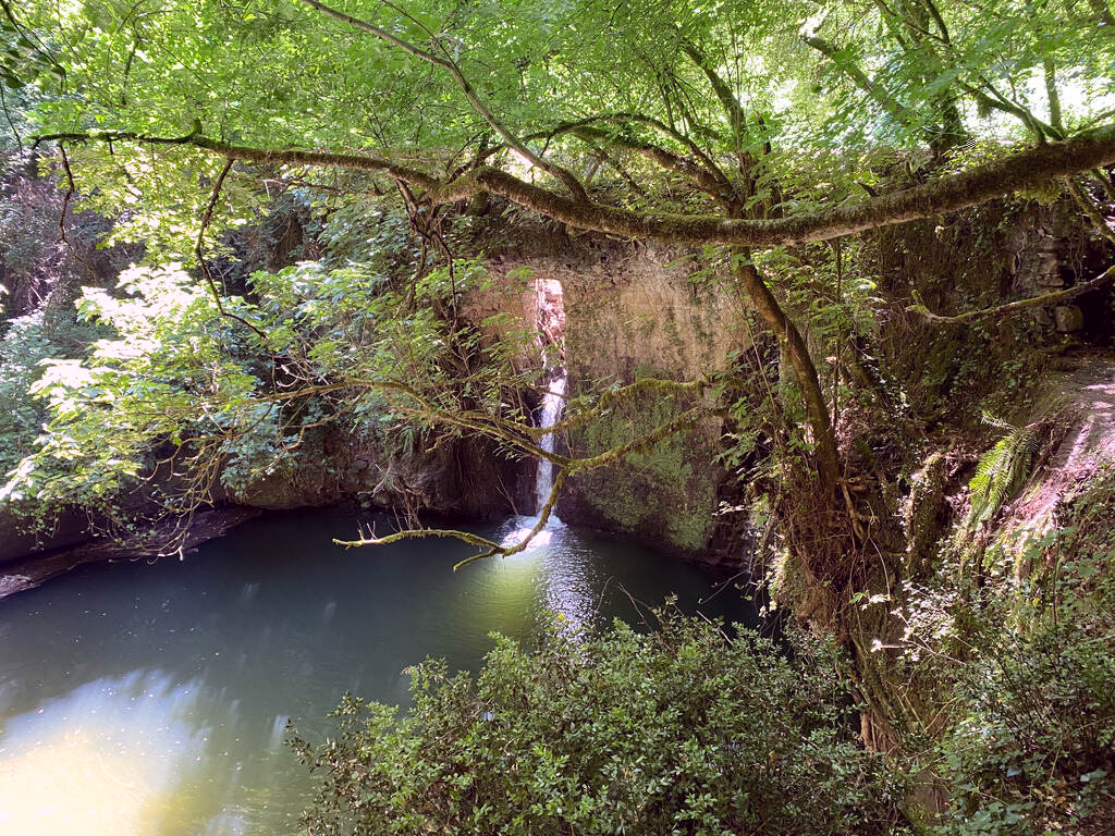 GOLE DEL BIEDANO. TRAVERSATA DA BARBARANO ROMANO A BLERA