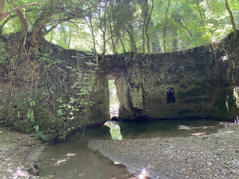 GOLE DEL BIEDANO. TRAVERSATA DA BARBARANO ROMANO A BLERA